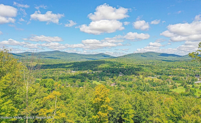 11 Copper Ridge Trl, Windham, NY 12496
