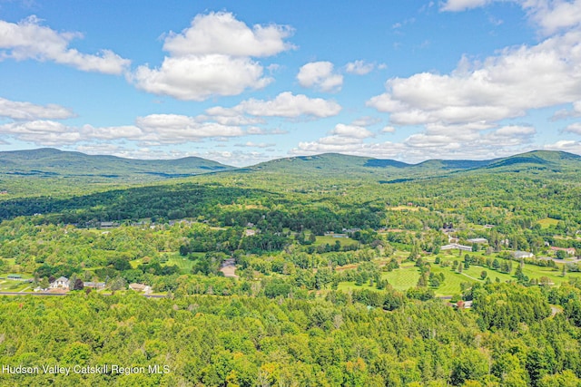 11 Copper Ridge Trl, Windham, NY 12496