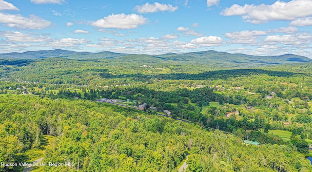 11 Copper Ridge Trl, Windham, NY 12496