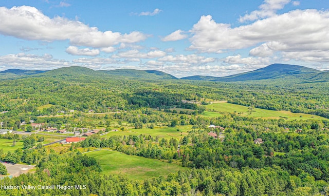 11 Copper Ridge Trl, Windham, NY 12496