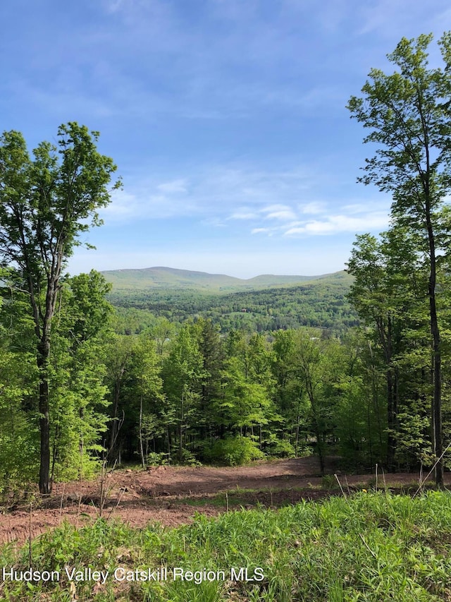 11 Copper Ridge Trl, Windham, NY 12496