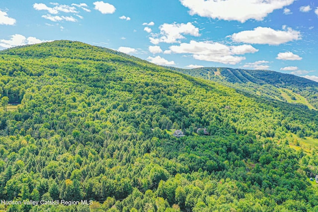 11 Copper Ridge Trl, Windham, NY 12496
