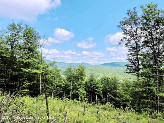 11 Copper Ridge Trl, Windham, NY 12496