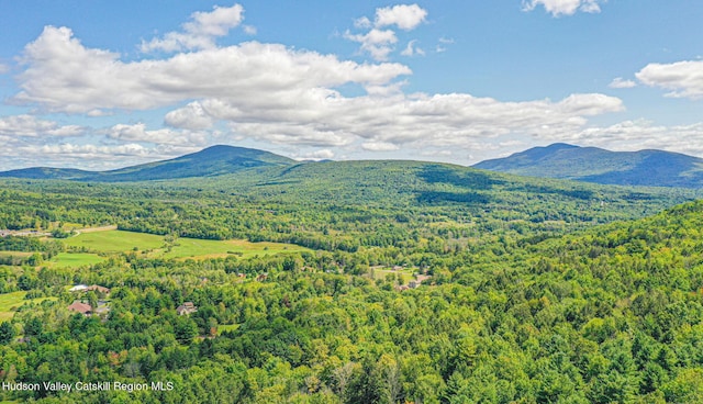 11 Copper Ridge Trl, Windham, NY 12496