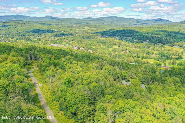 11 Copper Ridge Trl, Windham, NY 12496