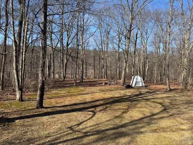 317 Scutt Rd, Greenville, NY 12083 - photo 26