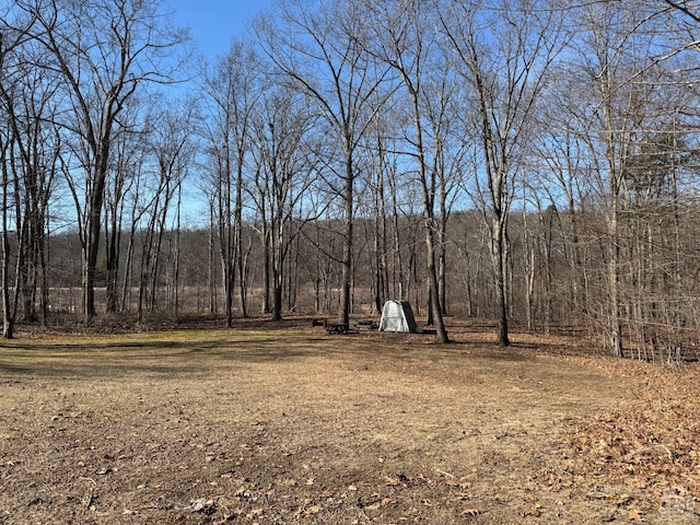 317 Scutt Rd, Greenville, NY 12083 - view of yard featuring a view of trees