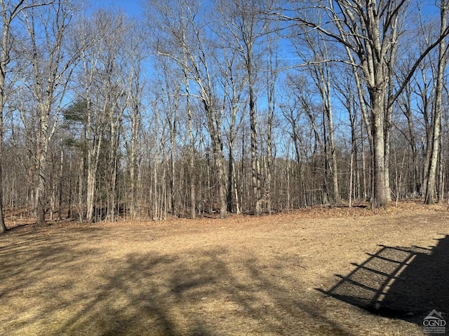 317 Scutt Rd, Greenville, NY 12083 - view of yard with a wooded view