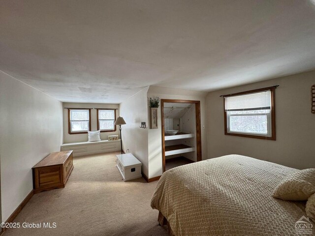 317 Scutt Rd, Greenville, NY 12083 - photo 16