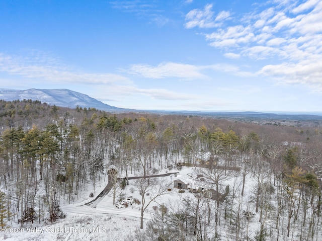 snowy aerial view featuring a mountain view