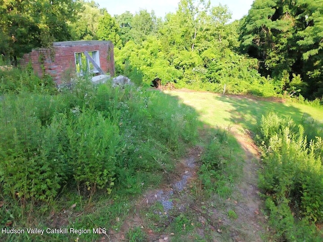 204 Willow St, East Kingston, NY 12401 - photo 2