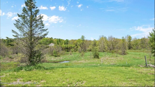 5868 Rte 209, Rochester, NY 12446 - view of yard with a wooded view