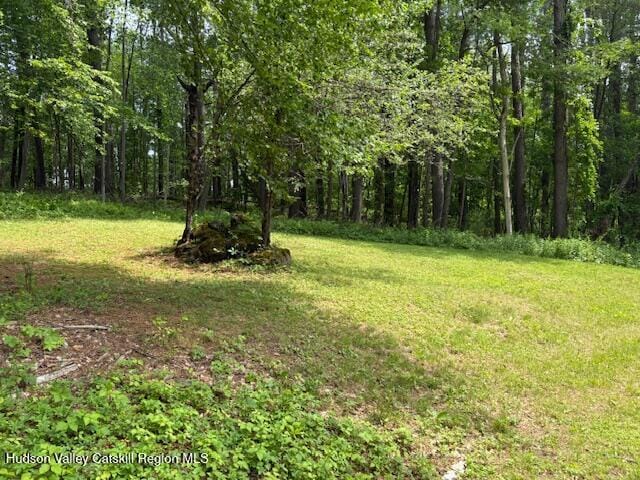 33 Dermody Rd, Canaan, NY 12029 - photo 5