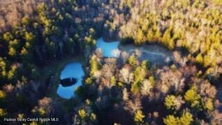 37 Old Stonewall Rd, Hannacroix, NY 12124