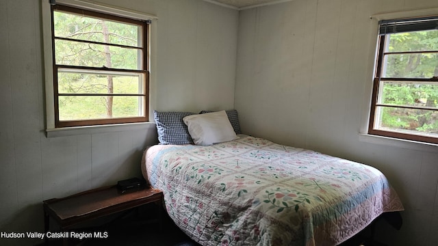 192 W Shore Dr, Valatie, NY 12184 - view of bedroom