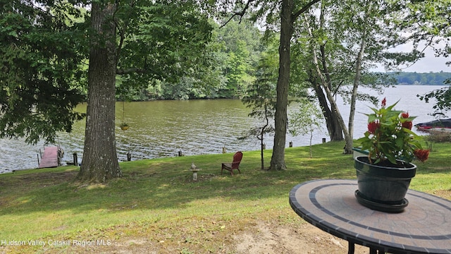 192 W Shore Dr, Valatie, NY 12184 - view of grassy yard featuring a water view