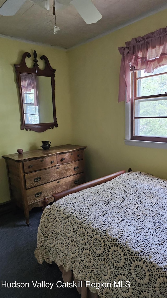 192 W Shore Dr, Valatie, NY 12184 - carpeted bedroom featuring ceiling fan