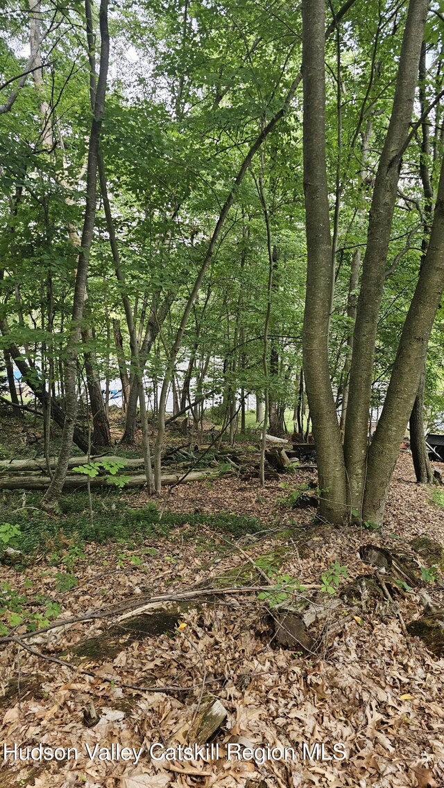 192 W Shore Dr, Valatie, NY 12184 - view of local wilderness