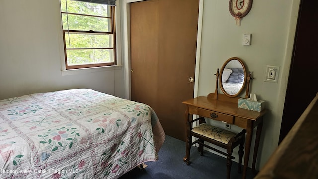 192 W Shore Dr, Valatie, NY 12184 - bedroom with a closet and carpet floors