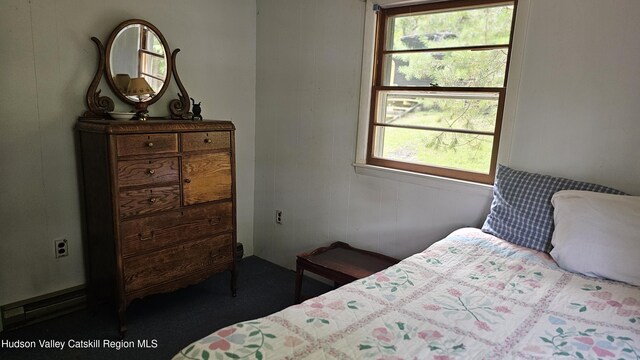 192 W Shore Dr, Valatie, NY 12184 - view of bedroom