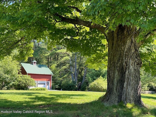 view of yard featuring an outdoor structure