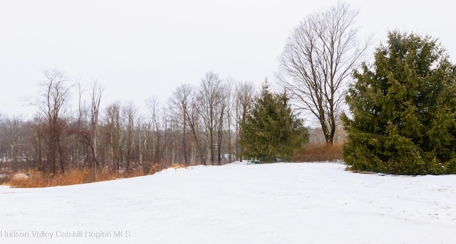 view of snowy yard