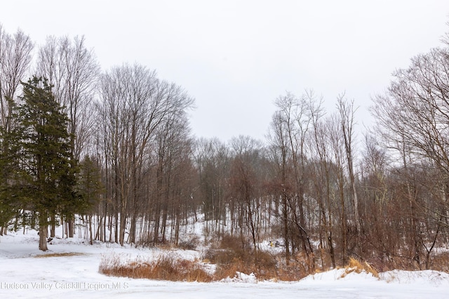 view of snowy view