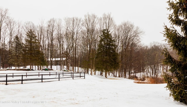 view of yard layered in snow