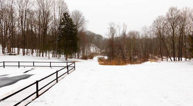 view of yard covered in snow