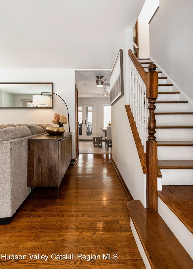 foyer entrance featuring dark hardwood / wood-style flooring