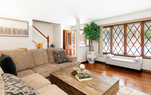 living room with wood-type flooring and a healthy amount of sunlight