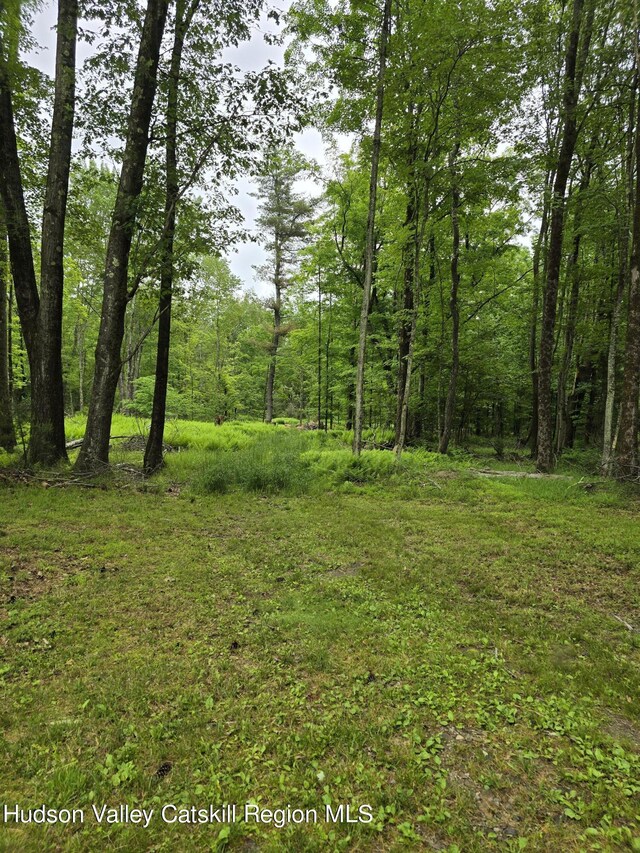 TBD Otens Rd, Ellenville, NY 12428