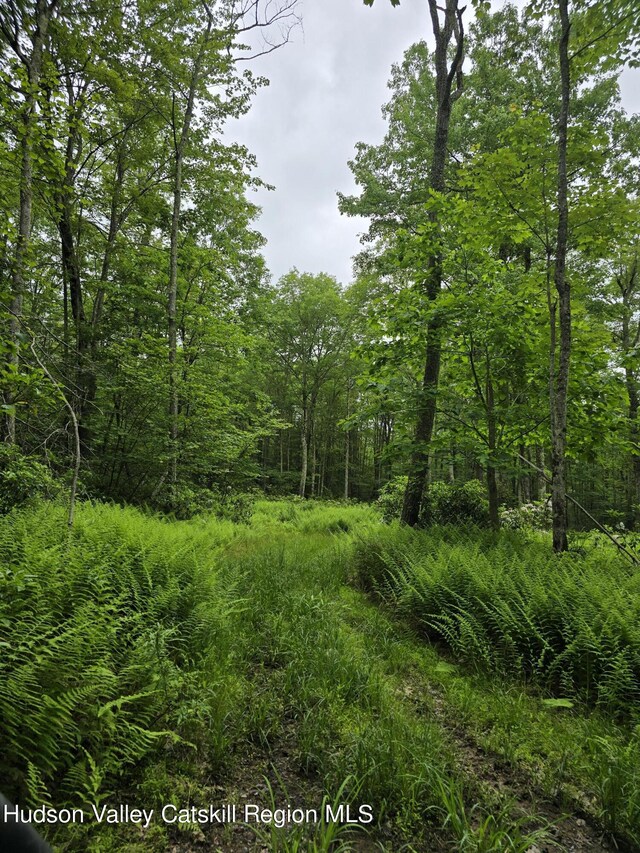 TBD Otens Rd, Ellenville, NY 12428
