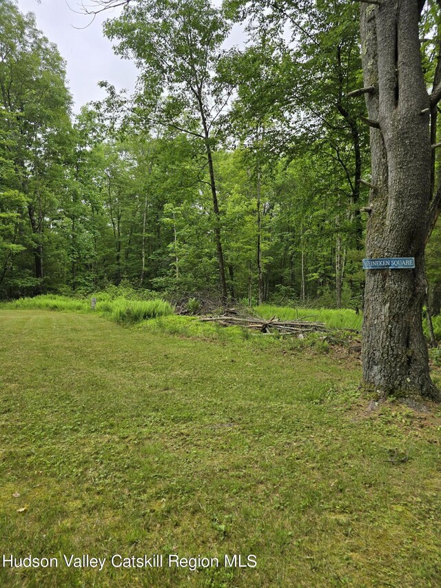 TBD Otens Rd, Ellenville, NY 12428
