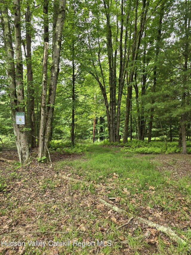 TBD Otens Rd, Ellenville, NY 12428