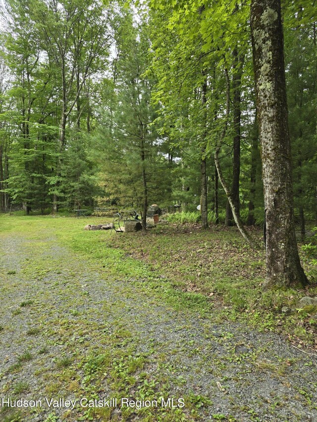 TBD Otens Rd, Ellenville, NY 12428