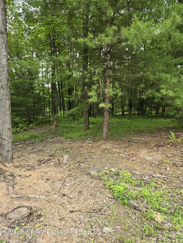 TBD Otens Rd, Ellenville, NY 12428