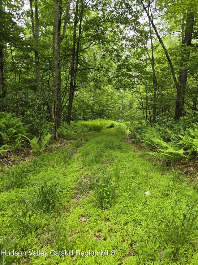 TBD Otens Rd, Ellenville, NY 12428
