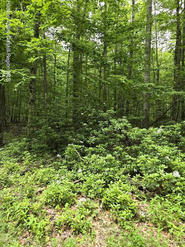 TBD Otens Rd, Ellenville, NY 12428