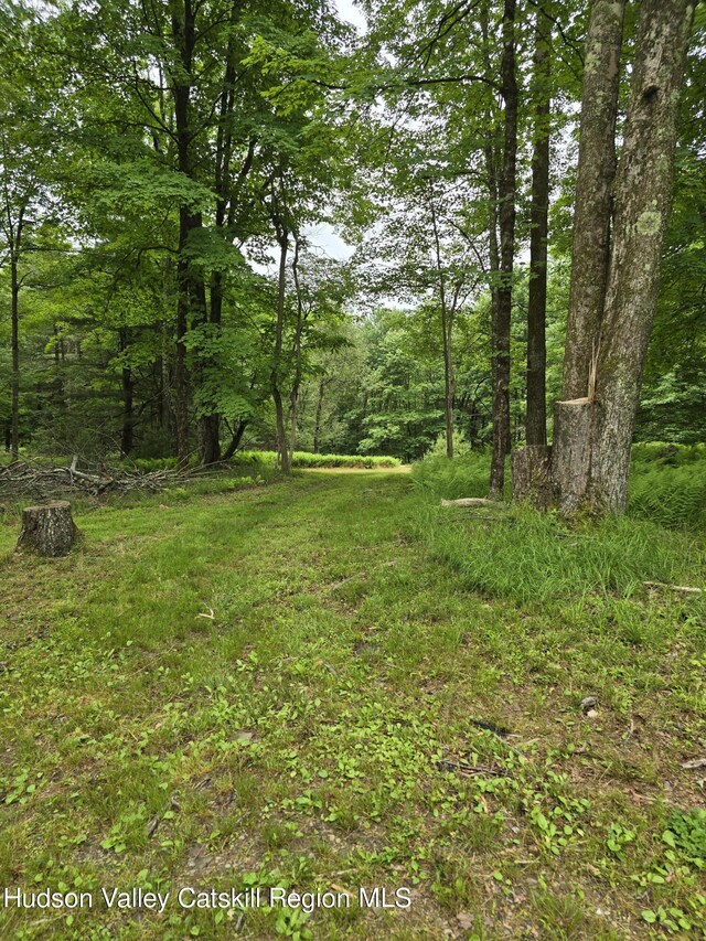 TBD Otens Rd, Ellenville, NY 12428