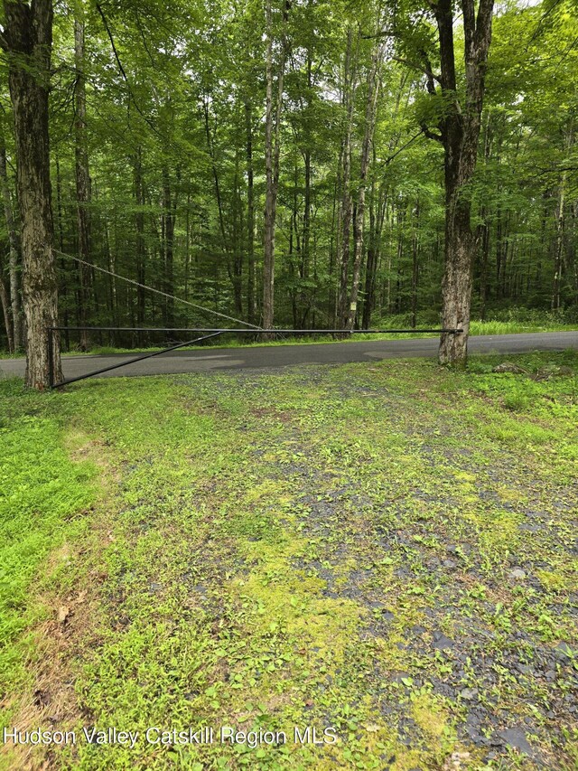 TBD Otens Rd, Ellenville, NY 12428