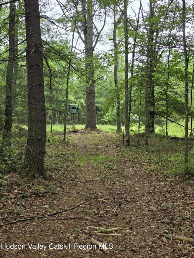 TBD Otens Rd, Ellenville, NY 12428