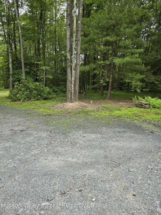 TBD Otens Rd, Ellenville, NY 12428