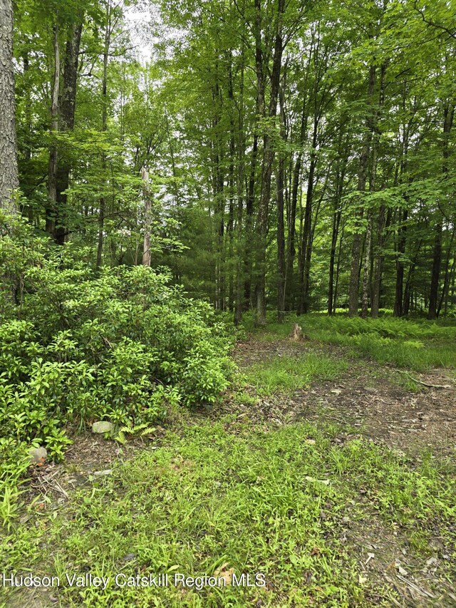 TBD Otens Rd, Ellenville, NY 12428