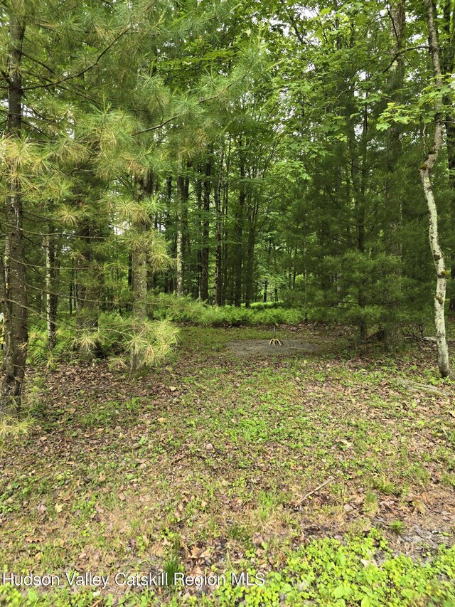 TBD Otens Rd, Ellenville, NY 12428