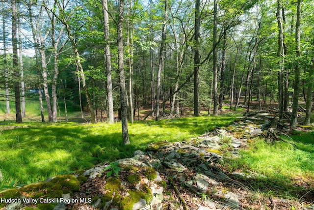 Listing photo 3 for 00 Lauren Ct, Woodstock NY 12498