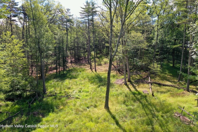 00 Lauren Ct, Woodstock NY, 12498 land for sale