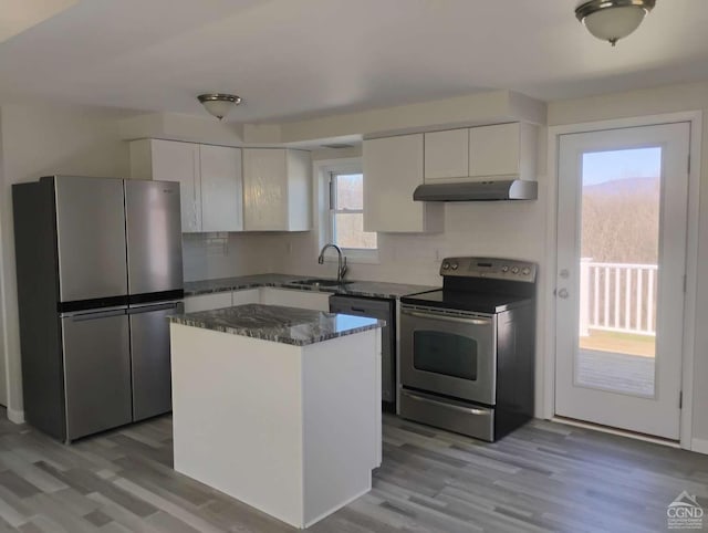 1316 Woods Rd, Germantown, NY 12526 - kitchen with stainless steel appliances, under cabinet range hood, a sink, white cabinetry, and light wood-style flooring