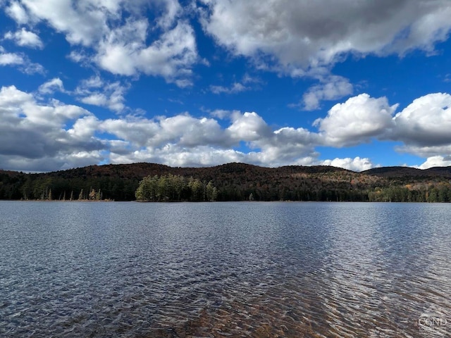 60 Leon Ln, Stony Creek, NY 12878 - water view with mountains