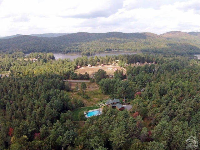 60 Leon Ln, Stony Creek, NY 12878 - aerial view of property and surrounding area featuring mountains